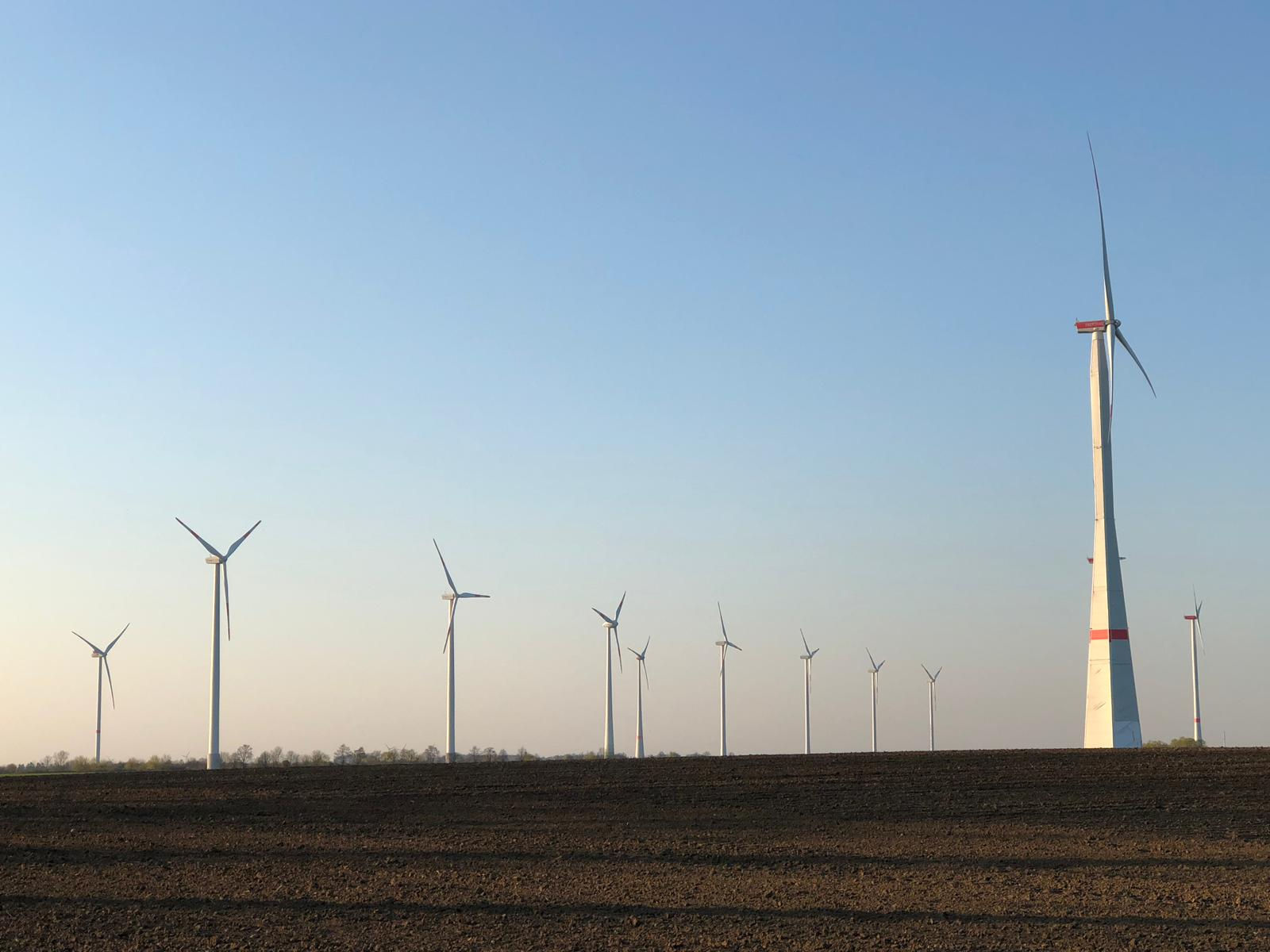 “Windenergie: Grünen-Kritik entzweit grosse Koalition”