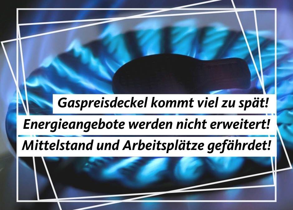 Gaspreisdeckel nach dem Winter ist ein Hohn — Energieangebot wird nicht erweitert